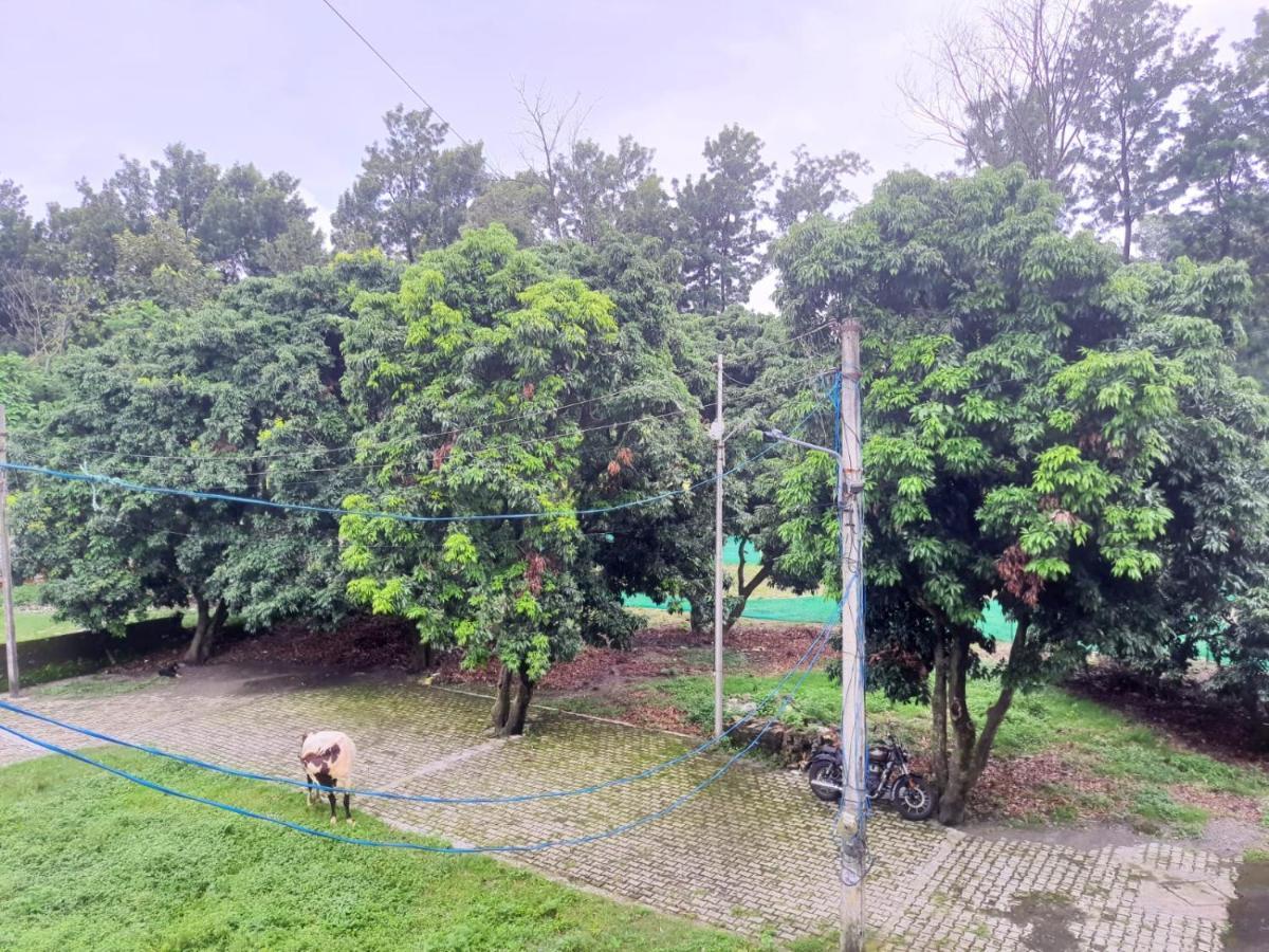 Nature View Homestay เดห์ราดุน ภายนอก รูปภาพ